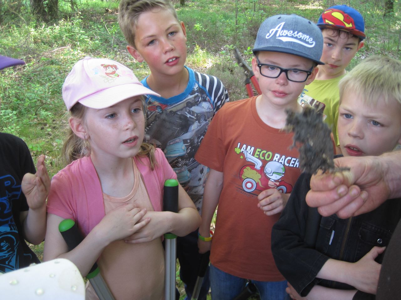 Werken in het Griesbroek samen met de mensen van Natuurpunt